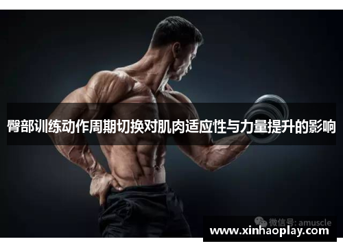 臀部训练动作周期切换对肌肉适应性与力量提升的影响